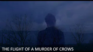 THE FLIGHT OF A MURDER OF CROWS